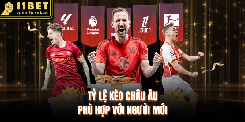 Tỷ lệ kèo châu Âu phù hợp với người mới