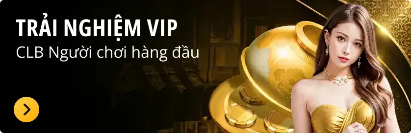 vip 11bet